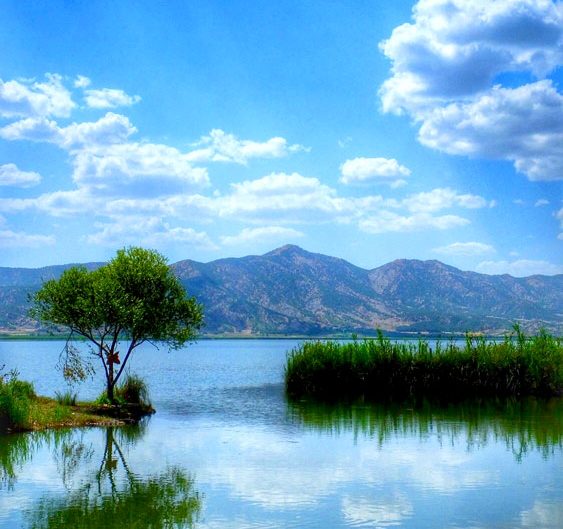 دریاچه زریوار مریوان کردستان